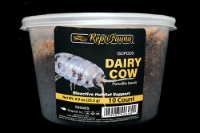 picture of ReptiFauna™ Dairy Cow Isopod 10 Count                                                                Porcellio Laevis