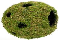 picture of Galapagos Moss Weave Ball Planter 14