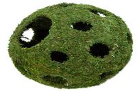 picture of Galapagos Moss Weave Ball Planter 18