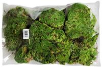 picture of Galapagos Royal Pillow Moss 8 qt                                                                     .